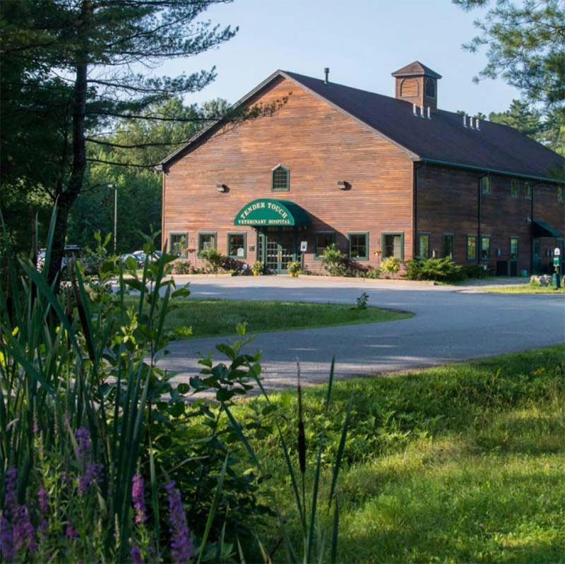 Scarborough veterinary clinic
